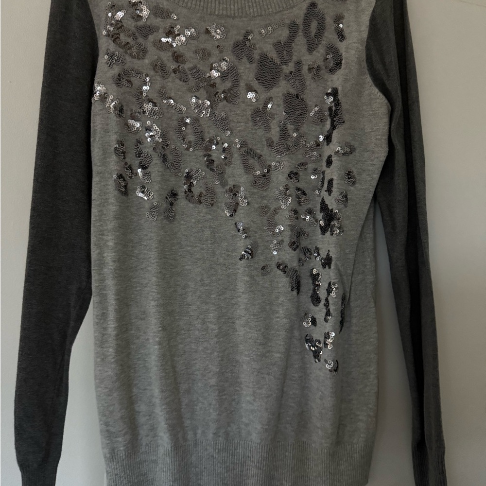 Express Charcoal Sweater with Sequin Accents